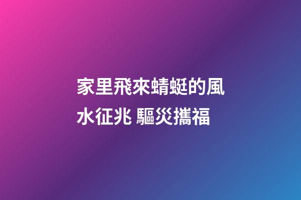 家里飛來蜻蜓的風水征兆 驅災攜福